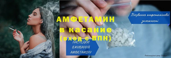 ПСИЛОЦИБИНОВЫЕ ГРИБЫ Инта