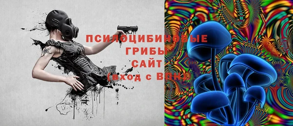 ПСИЛОЦИБИНОВЫЕ ГРИБЫ Инта