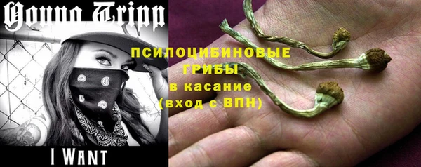 меф Инсар